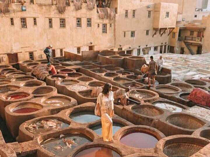 The Chouara tanneries of Fes